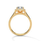Emerald Cut Diamond Halo Engagement Ring