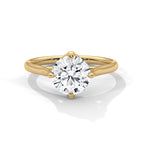 Round Brilliant Solitaire Diamond Engagement Ring