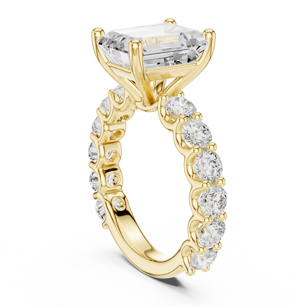 Emerald Cut Eternity Engagement Ring with Double Row Diamond Band