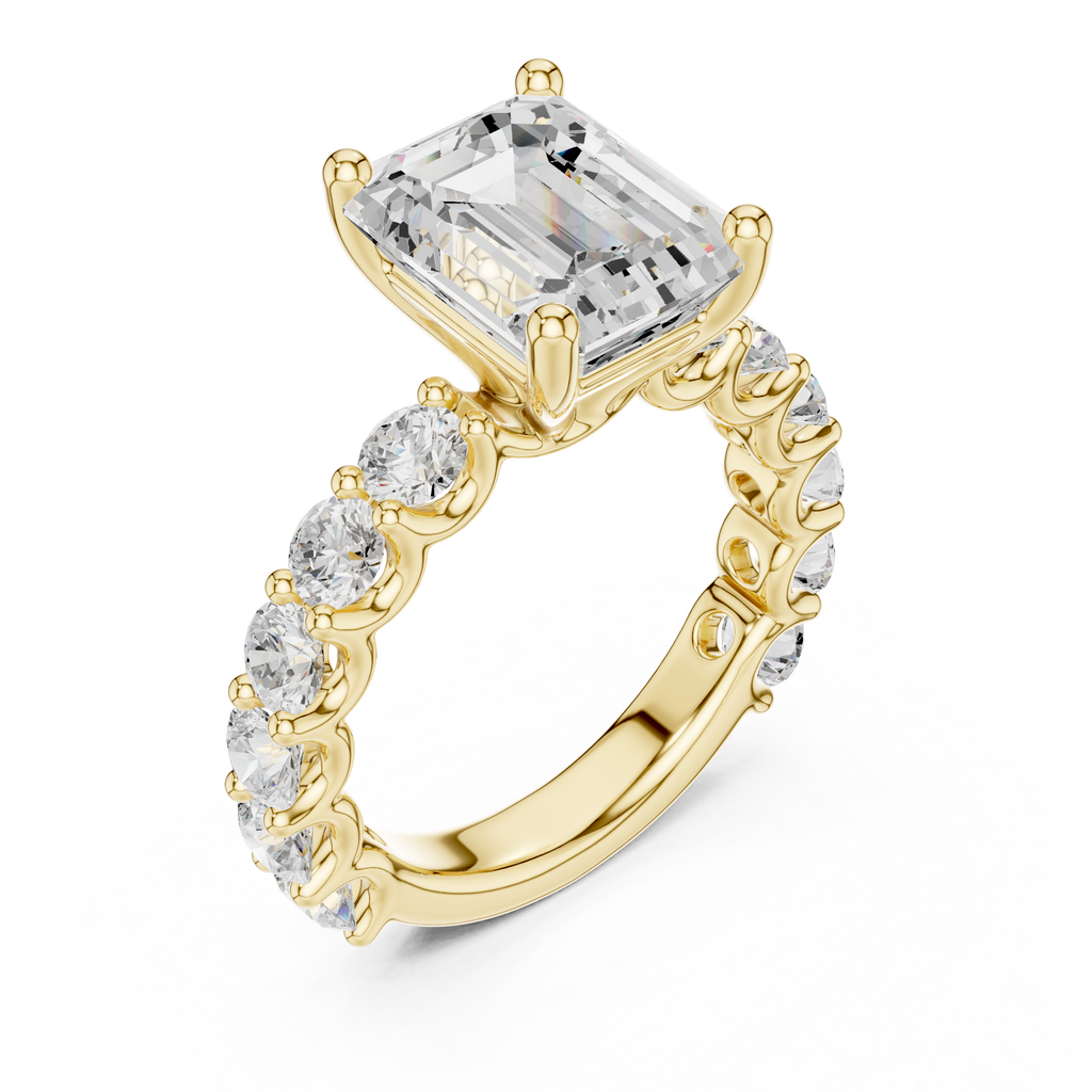 Emerald Cut Eternity Engagement Ring with Double Row Diamond Band