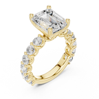 Emerald Cut Eternity Engagement Ring with Double Row Diamond Band