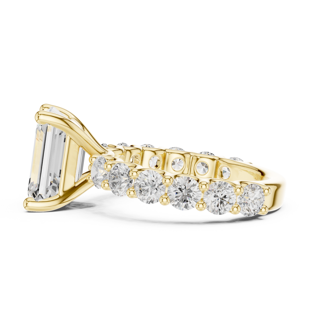 Emerald Cut Eternity Engagement Ring with Double Row Diamond Band