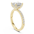 Princess Cut Hidden Halo Pavé Engagement Ring