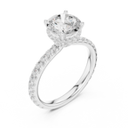 Round Brilliant Diamond Hidden Halo Engagement Ring