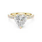 3.73 CT Heart Cut Hidden Halo Diamond Engagement Ring