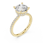 Round Brilliant Diamond Hidden Halo Pavé Engagement Ring