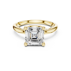 2.50 CT Asscher Cut Cathedral Diamond Engagement Ring with Hidden Pavé Gallery