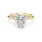 2.50 CT Heart Cut Cathedral Diamond Engagement Ring with Hidden Pavé Gallery