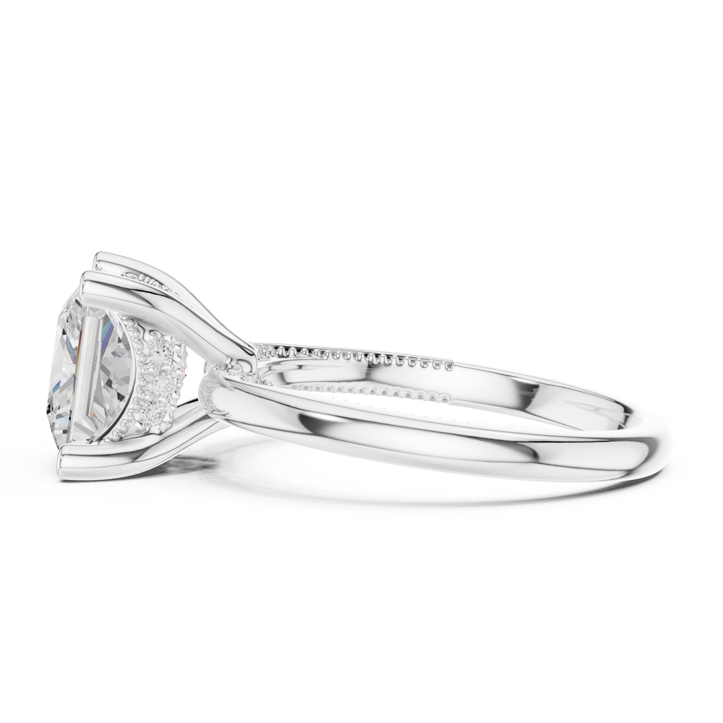 2.50 CT Princess Cut Diamond Engagement Ring with Hidden Pavé Cathedral Setting