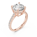 Round Brilliant Diamond Hidden Halo Cathedral Engagement Ring