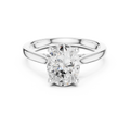 Oval Cut Hidden Halo Diamond Engagement Ring in Cathedral Setting
