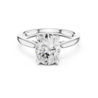 Oval Cut Hidden Halo Diamond Engagement Ring in Cathedral Setting