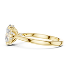Oval Cut Hidden Halo Diamond Engagement Ring in Cathedral Setting