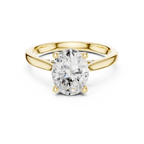 Oval Cut Hidden Halo Diamond Engagement Ring in Cathedral Setting