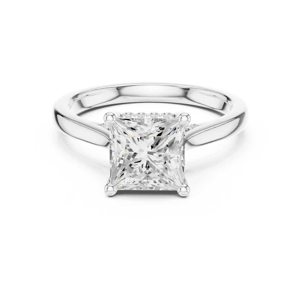 Princess Cut Hidden Halo Diamond Engagement Ring with Cathedral Setting