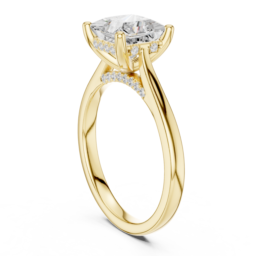 Princess Cut Hidden Halo Diamond Engagement Ring with Cathedral Setting