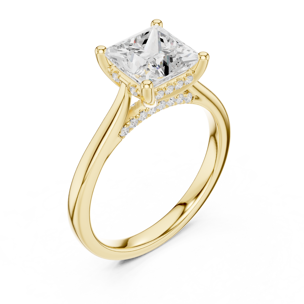 Princess Cut Hidden Halo Diamond Engagement Ring with Cathedral Setting