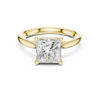 Princess Cut Hidden Halo Diamond Engagement Ring with Cathedral Setting