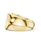 Round Diamond Cluster Men's Signet Ring