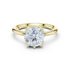 Round Cut Solitaire Engagement Ring with Hidden Diamond Gallery