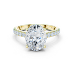 Oval Cut Hidden Halo Diamond Engagement Ring