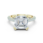 Asscher Cut Hidden Halo Diamond Engagement Ring with Double Pavé Band