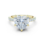 Heart Cut Hidden Halo Diamond Engagement Ring