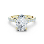 Oval Cut Diamond Cathedral Engagement Ring with Hidden Halo
