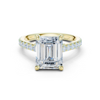 Emerald Cut Hidden Halo Diamond Engagement Ring