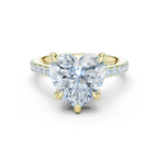 Heart Cut Hidden Halo Diamond Engagement Ring