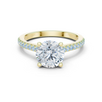 Round Brilliant Diamond Pavé Engagement Ring with Hidden Halo
