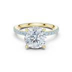 Round Brilliant Diamond Hidden Halo Pavé Engagement Ring